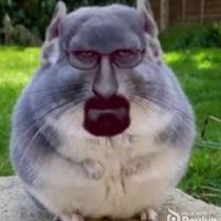 sigeonpexsigma_