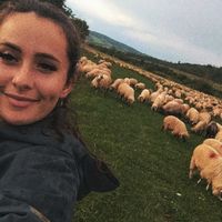 daria_curea