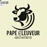 pape.eleveur2