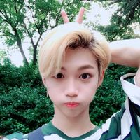 l..bubble