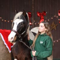clem_et_ses_poneys