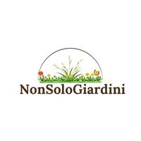 francescofabiano868