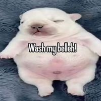 ftbledit38