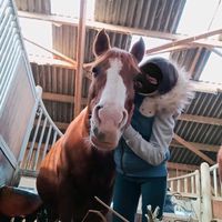 la_cavaliere.manon