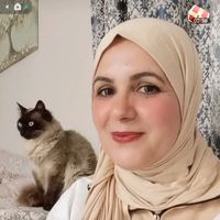 bibamhamdi3