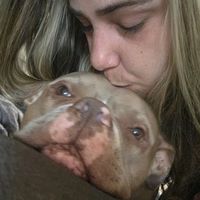 team_bullys