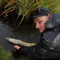 jungle.fishing