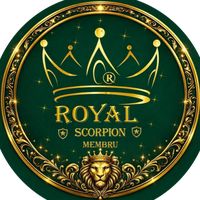 scorpion_27.10