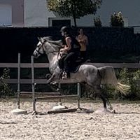 cams.jumpp