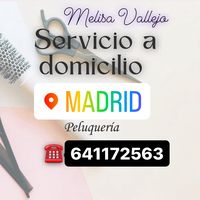 meli_vallejo.stylist.art