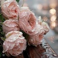 jmorebeautyatelier1