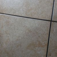 primahopoispuntailsole