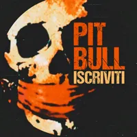 original sound - ___pitbull___1