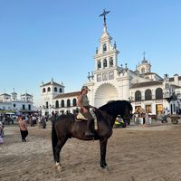 candelamatilla8