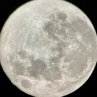 original sound - seeyoulater_xx