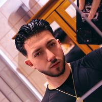 sebastiano._lion
