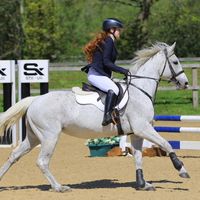 darcysjumping