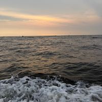 vgxx_00