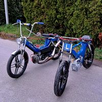 janis_5630