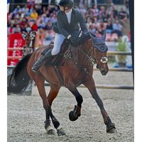evan.lezaire_showjumping