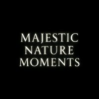 MajesticNatureMoments