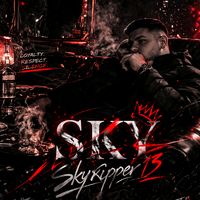 skyripper13