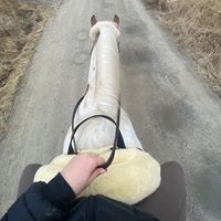 ea_equestrian