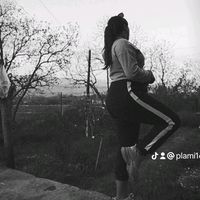 plami162