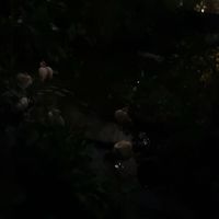 random.acc17112