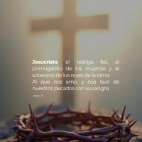 xulinaasencio1