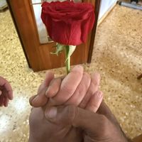 flavialopesebr