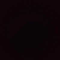 thedark7895