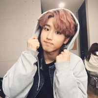 skz.lvs10
