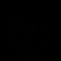 labellevielezincc