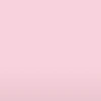 nele1293