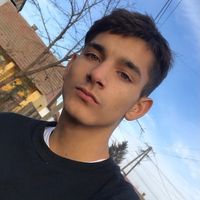 vincenzoe15