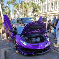 nicolas08_lr