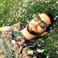 guine_z_