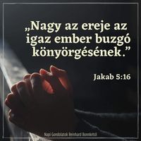 user338431018