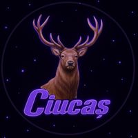 ciucas.nr1