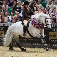 hollysmithequestrian