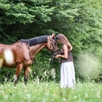 lm2stallion