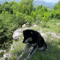 pontios15