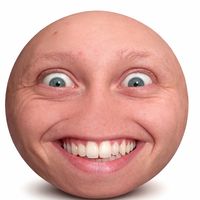 calvitotactico