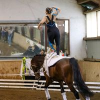 vaulting._