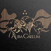 auracaelum