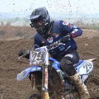 michelepapa29