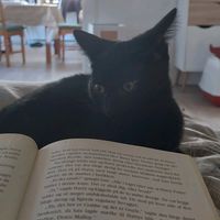 liva_reads