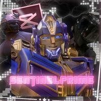 sentinelprimedits