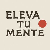 elevatumente97